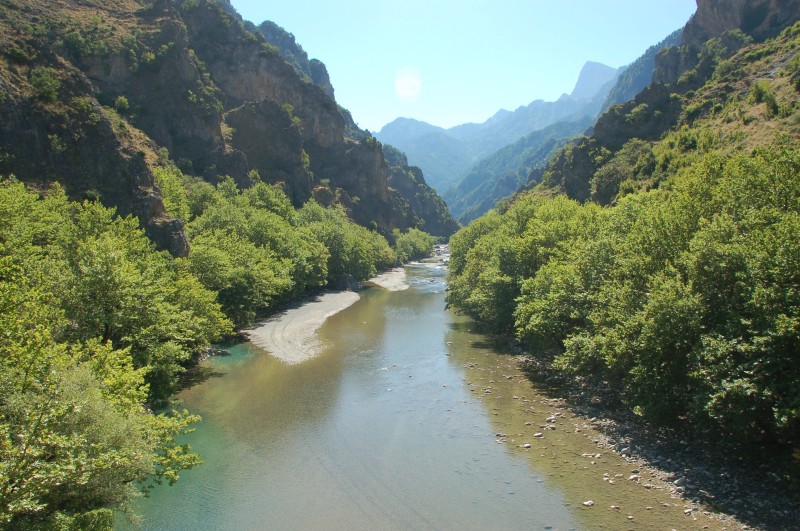 dsc_0098.jpg