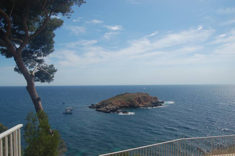 DSC1_0147.JPG