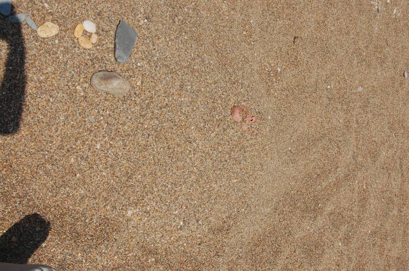 DSC2_0275.JPG