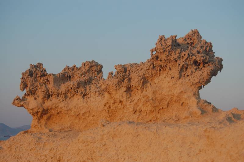 DSC2_0303.JPG