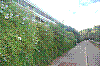 DSC1_0167.JPG
