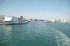 DSC1_0265.JPG