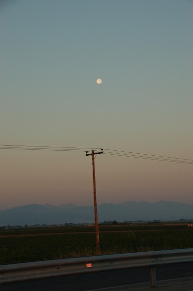 DSC_0513.jpg