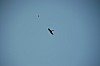 DSC_0638.jpg
